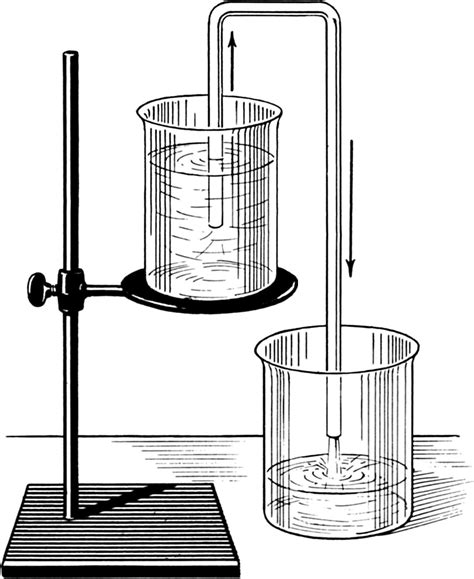 Siphon .